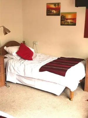 a bedroom with a bed with white sheets and red pillows at Talybont B&B Aberystwyth in Talybont