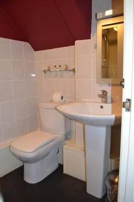 a bathroom with a toilet and a sink at The Red Lion in Llangadog