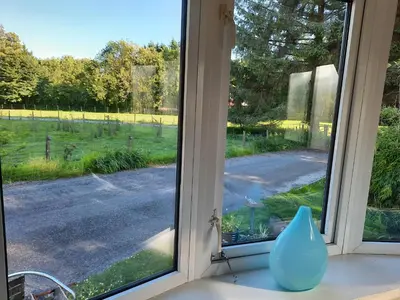 a window with a blue vase sitting on a counter at Cerdyn Villa in Llanwrtyd Wells