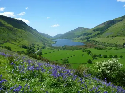 a view of a valley with a lake and flowers at Dolffanog Fawr in Tal-y-llyn