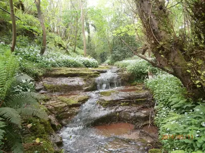 a waterfall in the middle of a forest at Highfield in Hay-on-Wye