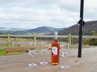a bottle of wine and three wine glasses on a wooden table at Gorsddu in Llanwrthwl