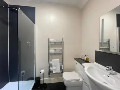 a bathroom with a sink and a toilet and a shower at Bwch yn Uchaf B&B in Llanuwchllyn