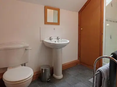 a bathroom with a toilet and a sink at Granar Gynolwyn in Abergynolwyn