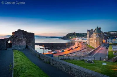 a view of a city with a castle and a street at Gwarcwm Uchaf in Tre-Taliesin