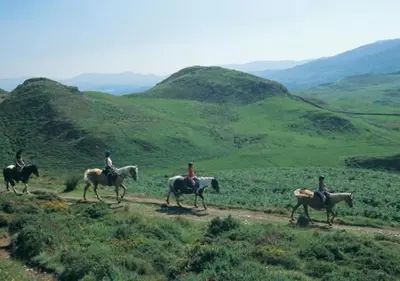 a group of people riding horses on a hill at Ysgubor Illtyd in Dolgellau