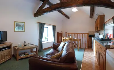 a living room with a leather couch and a kitchen at Tref y Nant in Castle Caereinion