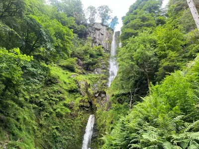 a waterfall in the middle of a forest at Berwyn Shepherds Hut in Wrexham