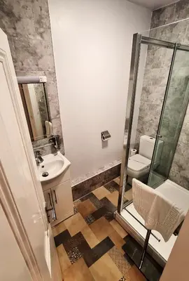 a bathroom with a shower and a toilet and a sink at The Albert Hotel in Shrewsbury