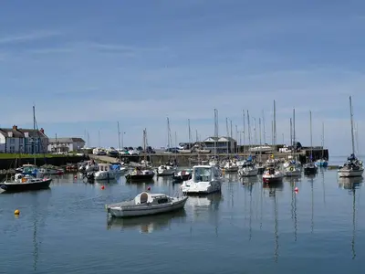 a bunch of boats are docked in a harbor at Roath in Cilcennin