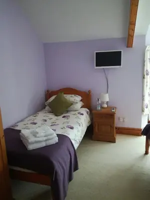 a bedroom with a bed and a tv on the wall at Ty Newydd in Llangadog