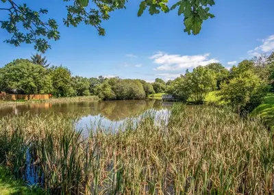a view of a lake with grass and trees at Pencnwc Holiday Park in Llanllwchaiarn