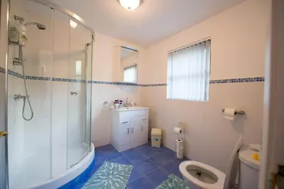 a bathroom with a shower and a sink and a toilet at Y Grange in Llanfihangel-y-creuddyn