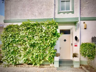 a building with a green ivy growing on the side of it at Llety Brynawel Guest House in Pennal