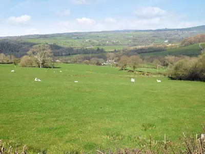 a herd of animals grazing in a green field at The Loft - Uk6210 in Llanerch-Aeron