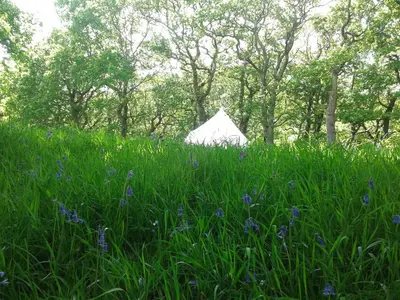 a white tent in the middle of a field of grass at Cefn Crib Glamping in Machynlleth