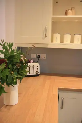 a kitchen with a vase with a plant on a counter at Delfryn Cottage in Rhayader