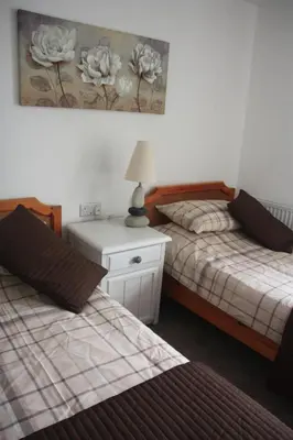 a bedroom with two beds and a table with a lamp at Delfryn Cottage in Rhayader