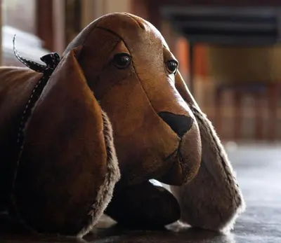 a stuffed dog is laying on the floor at The Falcondale Country House Hotel in Lampeter
