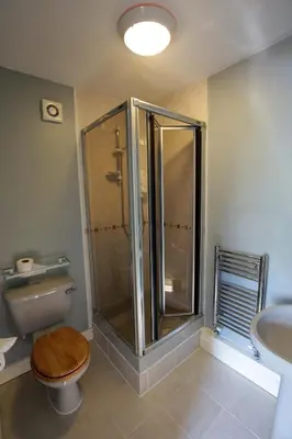 a bathroom with a shower with a toilet and a sink at Fitzwarine House Whittington in Whittington