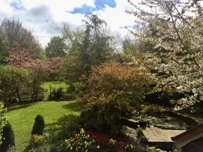 a garden with a flowering tree and a wooden deck at Yew Tree Cottage in Leominster