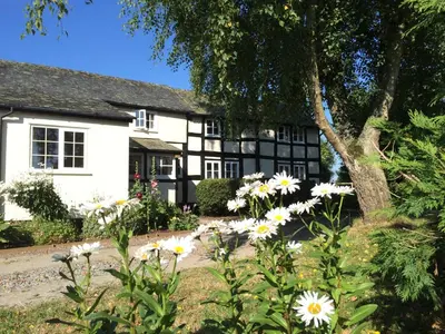 a white and black house with flowers in front of it at Yew Tree Cottage in Leominster