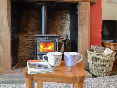 two cups on a table with a wood stove at Bryntrisant in Devils Bridge