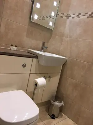 a bathroom with a white toilet and a sink at Llys yr Onnen in Aberystwyth