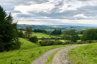 a gravel road in the middle of a green field at Drovers Retreat in Llandrindod Wells