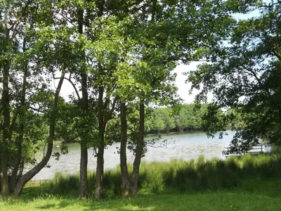 a view of a river with trees in front of it at The Barn at Titley in Kington