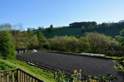 a large gravel driveway with a fence and trees at Log Cabin in Brecon
