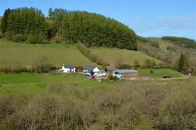 a farm with a group of animals in a field at Log Cabin in Brecon