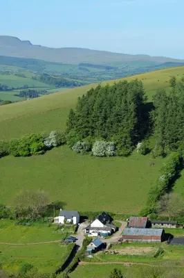 an aerial view of a farm in a green field at Log Cabin in Brecon