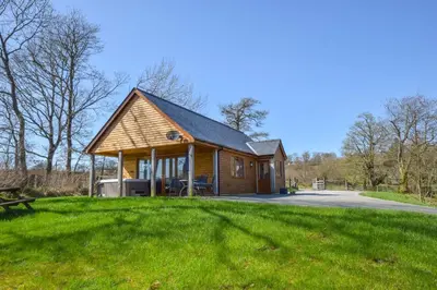 a small wooden cabin on a grassy field at LLanddewi Retreat in Llanddewi Ystradenny