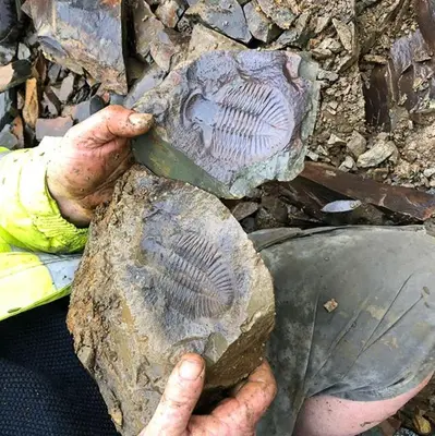 a person holding a rock with a fossil on it at Upper Gilwern Quarry Hut in Llandrindod Wells
