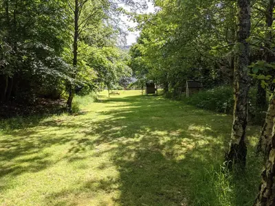 a path in a field with trees and grass at Yr Hen Feudy in Barmouth