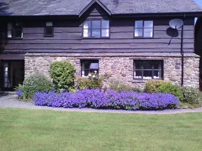 a stone house with purple flowers in front of it at Lake Cottages at Cwm Chwefru in Llanafan-fawr