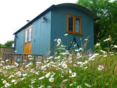 a blue shed in a field of flowers at Hay-on-Hye retreat in Hay-on-Wye