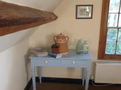 a blue table with a vase and books on it at Maescelyn in Aberystwyth