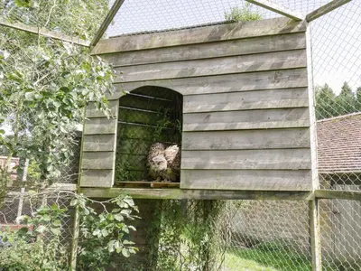 a cat is sitting in a bird house at Kite's Nest in Eaton