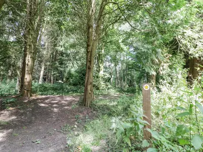 a path in a wooded area with trees at Betty's Barn in Eaton