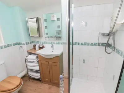 a bathroom with a shower and a sink and a toilet at Beacons Rest in Llanspyddid
