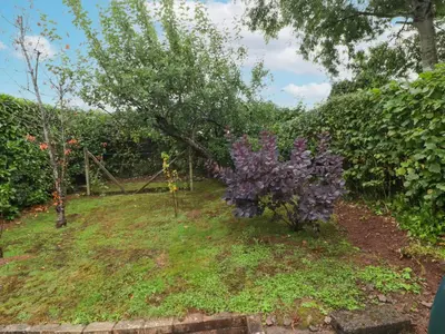 a garden with purple flowers in the grass at Beacons Rest in Llanspyddid