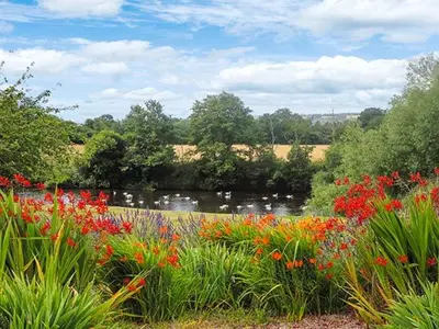 a field of flowers with a river in the background at Herons in Byford