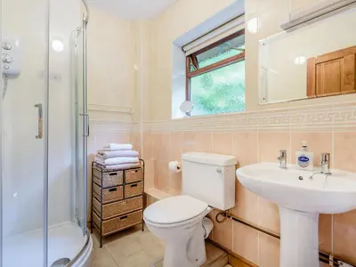 a bathroom with a toilet and a sink and a shower at Llety Nest in Llanfachreth