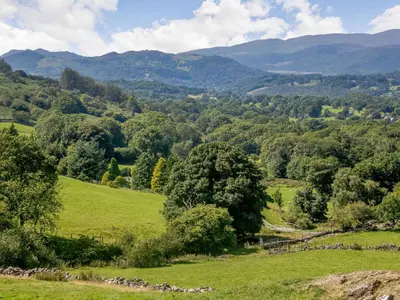 a green field with trees and mountains in the background at Llety Nest in Llanfachreth