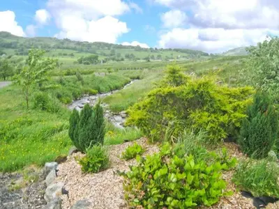 a river in the middle of a field with trees at Stabal Cottage in Cross Foxes
