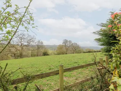 a field of green grass with a wooden fence at Bryn yr Haf in Llanfair Clydogau