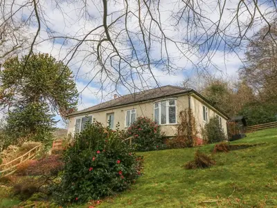 a house on a grassy hill with a tree at Bron Aber in Arthog