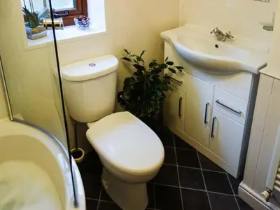 a bathroom with a toilet and a sink at The Wilderness in Bromlow